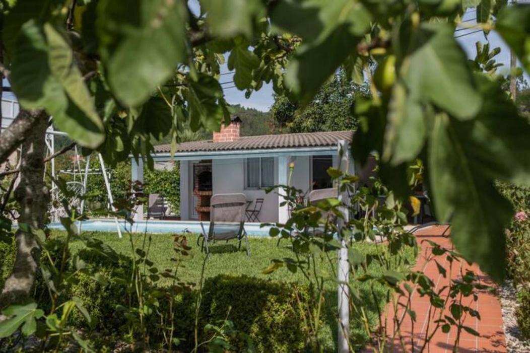 Delfim E Carmo - Entire House Com Piscina Villa São Pedro do Sul Buitenkant foto